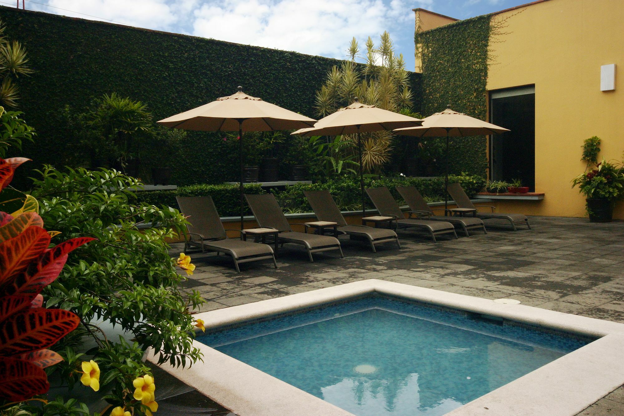 Hotel Hb Xalapa Exteriér fotografie